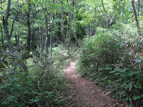 20140517hike (115)
